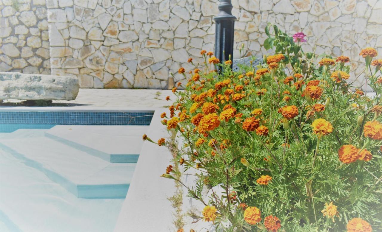 Estate Dafnopanagia Villa Magda Asprogerakata Extérieur photo