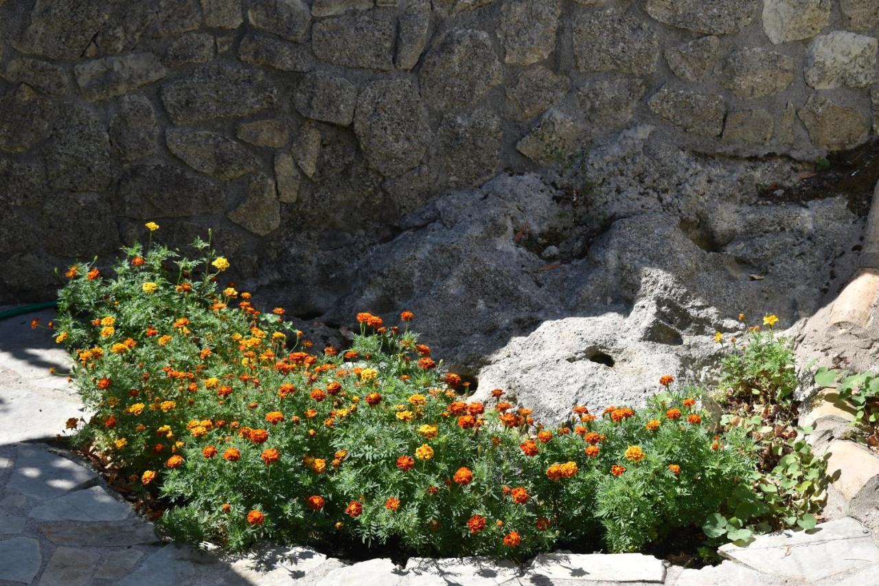 Estate Dafnopanagia Villa Magda Asprogerakata Extérieur photo